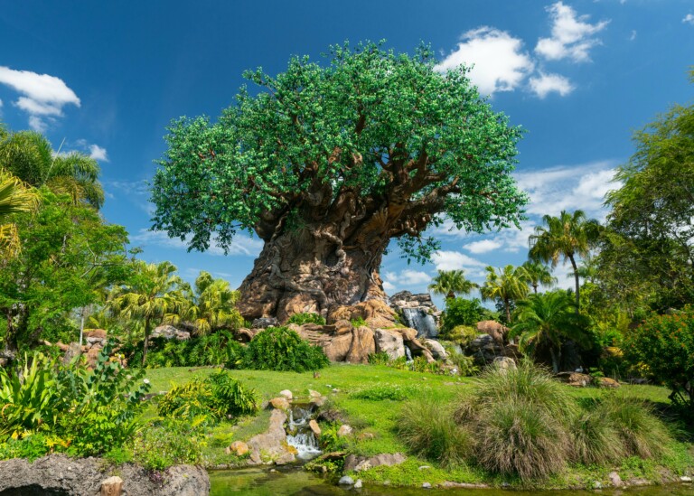 10-quiet-places-for-when-you-need-a-break-at-disney-world